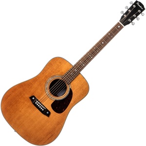 Pasadena PD-450 All Solid Vintage Natural Акустична китара