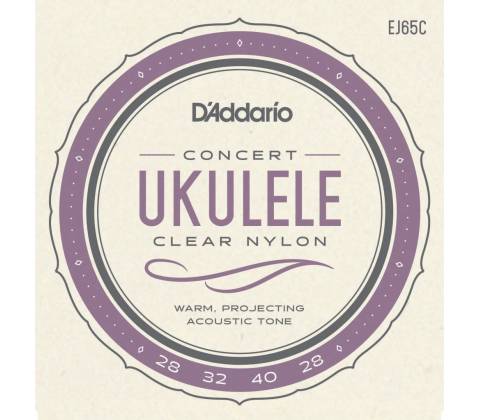 D'Addario EJ65C