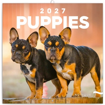 Poznámkový Štěňata nástěnný 2027