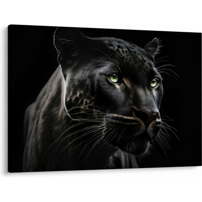 Obraz - Černý panter, jednodílný 100x70 cm
