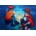 Bluebird Puzzle - Puzzle Louis Toffoli - Les Marchandes (Pérou), 1975 - 1 000 piese