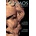 Cosmos of the Ancients. The Greek Philosophers on Myth and Cosmology | Stefan Stenudd