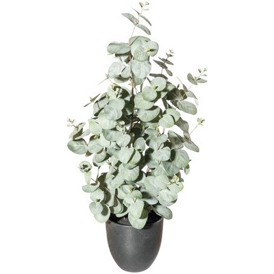 Umelá rastlina eukalyptus cca 60 cm zelenosivá v plastovom kvetináči 13,5 x 13 cm so zeminou