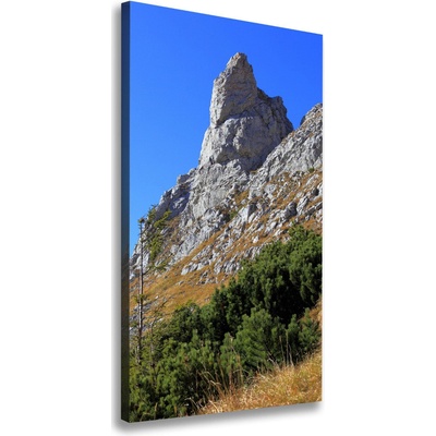 Vertikálny foto obraz na plátne Malý Giewont Tatry 50x100 cm