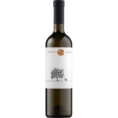 Chateau Rúbaň Svoj Sen 2023 11,5% 0,5 l (čistá fľaša)