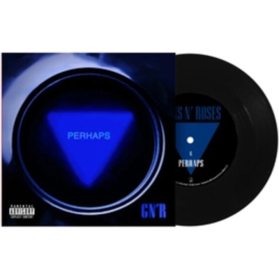 GUNS N ROSES - Perhaps The General 7" LP