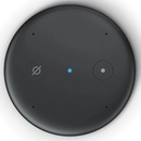 Amazon Echo Input