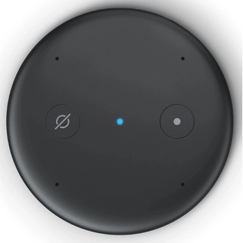 Amazon Echo Input