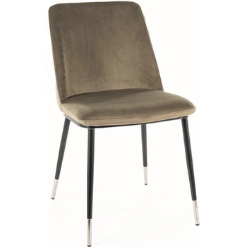 Signal Jill olivová