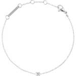 Daniel wellington dw00401960 (dw00401960)