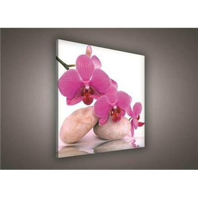 Obraz na plátně orchidej růžová 136O2, 80 x 80 cm, IMPOL TRADE