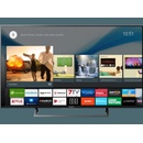 Sony Bravia KD-55XE8096