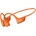 Shokz OpenRun Pro 2 (S820-ST)