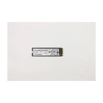 Lenovo 256GB 5SS0V26411