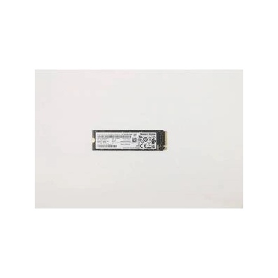 Lenovo 256GB 5SS0V26411
