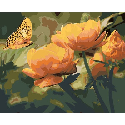 ZUTY Malování podle čísel MOTÝL A ORANŽOVĚ KVĚTINY 40 x 50 cm