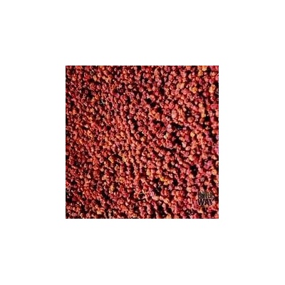 Bylinná lékárna Sorbus aucuparia Jeřabina plod jeřáb červený ptačí jeřáb 1 kg
