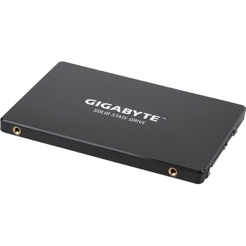 Gigabyte 256GB, SSD, GP-GSTFS31256GTND