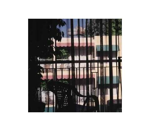 Section 25 - Dark Light CLR LP