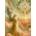 Enjoy - Puzzle Angels of Light - 1 000 piese
