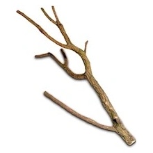 Macenauer Korková větev do 50 cm