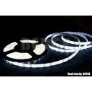 ECOLIGHT EC79650
