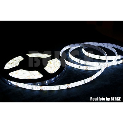 ECOLIGHT EC79650