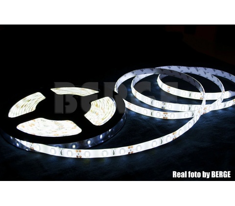 ECOLIGHT EC79650