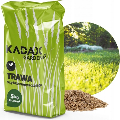 Tráva Kadax 200 m² 5 kg