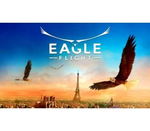 Eagle Flight
