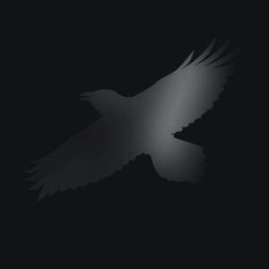 Warner Sigur Rós: Odins Raven Magic - 2Vinyl (LP) (037773)