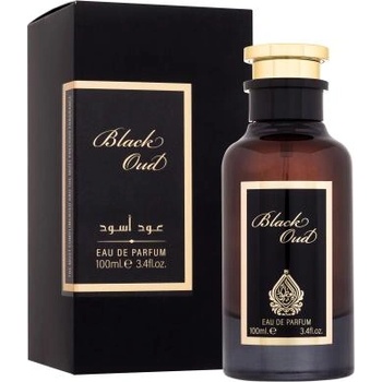 House of Perfumes Black Oud EDP 100 ml