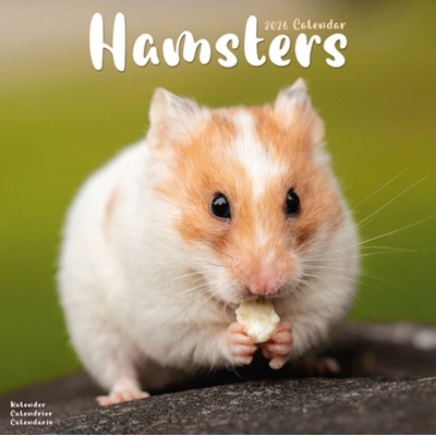 Hamsters Square Animal Wall 16 Month 2026
