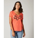 Fox Boundary Flamingo