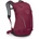 Osprey Раница Hikelite 18