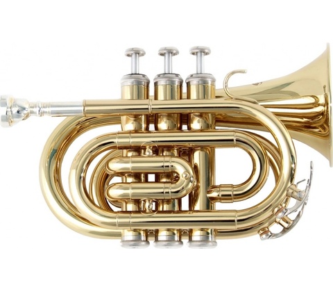 SOUNDSATION STPGD-10P