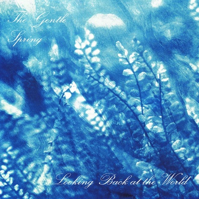 The Gentle Spring - Looking Back At The World (LP) (5055869550734)