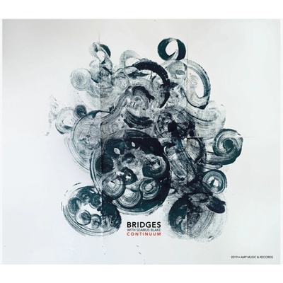 Continuum - BRIDGES with Seamus Blake CD