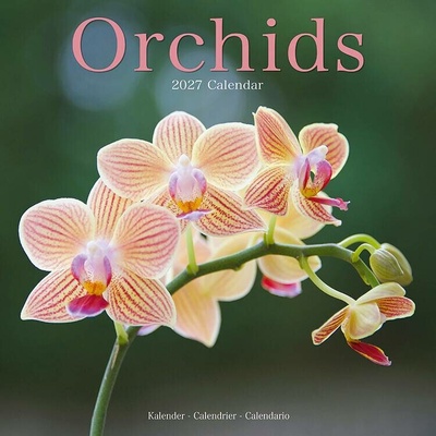 Orchideje, 30 x 30 cm 2027