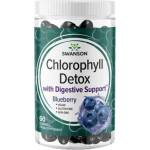 Swanson Chlorophyll Detox Gummies | Blueberry [60 Дъвчащи таблетки]