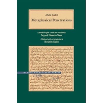 Metaphysical Penetrations