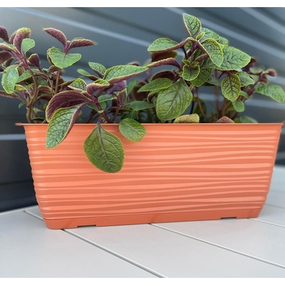 FORMplastic Truhlík Sahara s podmiskou 60cm terakota