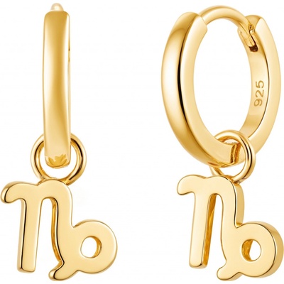 Olivie Stříbrné náušnice KOZOROH GOLD 9596