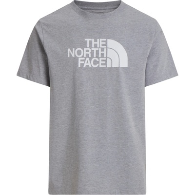 The North Face Evolution Half Dome Regular Short Slee šedá