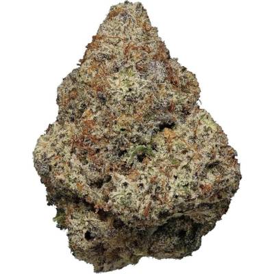 Highbreed Seeds Super Saiyan Runtz Auto semena neobsahují THC 2 ks