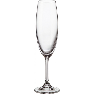 Crystalite Bohemia Sklenice Sylvia na sekt šampaňské 220 ml – Zboží Mobilmania