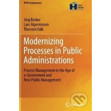 Modernizing Processes in Public Administrations