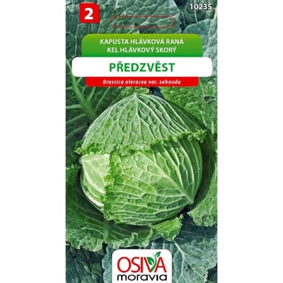 Semienka Kel hlávkový skorý Predzvesť Brassica oleracea var. sabauda
