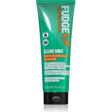 Fudge Clean Mint Shampoo 250 ml