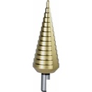 Dedra WMST0430